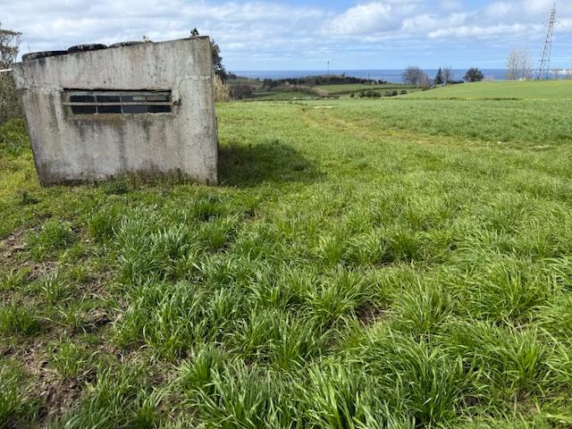 Terreno Agrícola com Vista Mar em Lagoa, São Miguel - Image 1